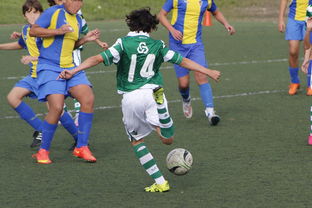 开云体育官方网站-帕尔梅拉斯主场优势明显，球迷期待逆转奇迹