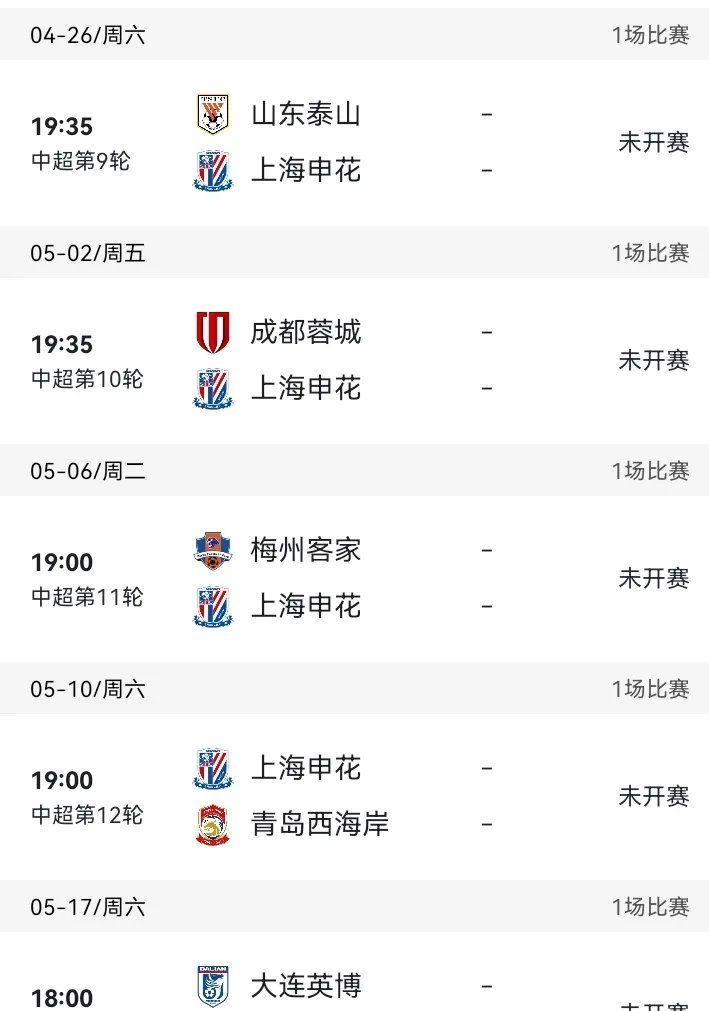 开云体育平台APP-上海申花客场抢分，保持联赛领跑的简单介绍