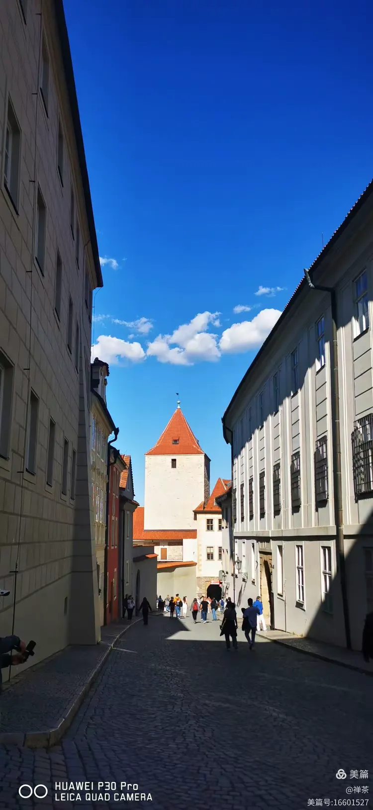 波兰队团结一心,奋力一战的简单介绍 波兰队团结一心,奋力一战的简单介绍