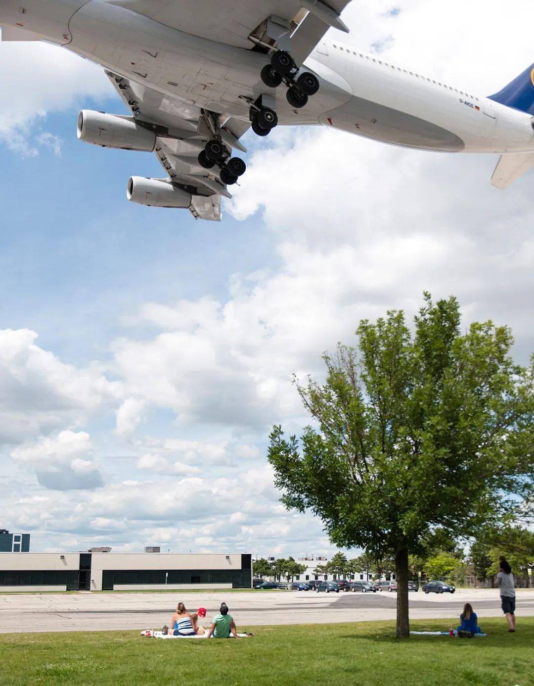 荷兰风生水起突破阻碍前行 荷兰风生水起突破阻碍前行