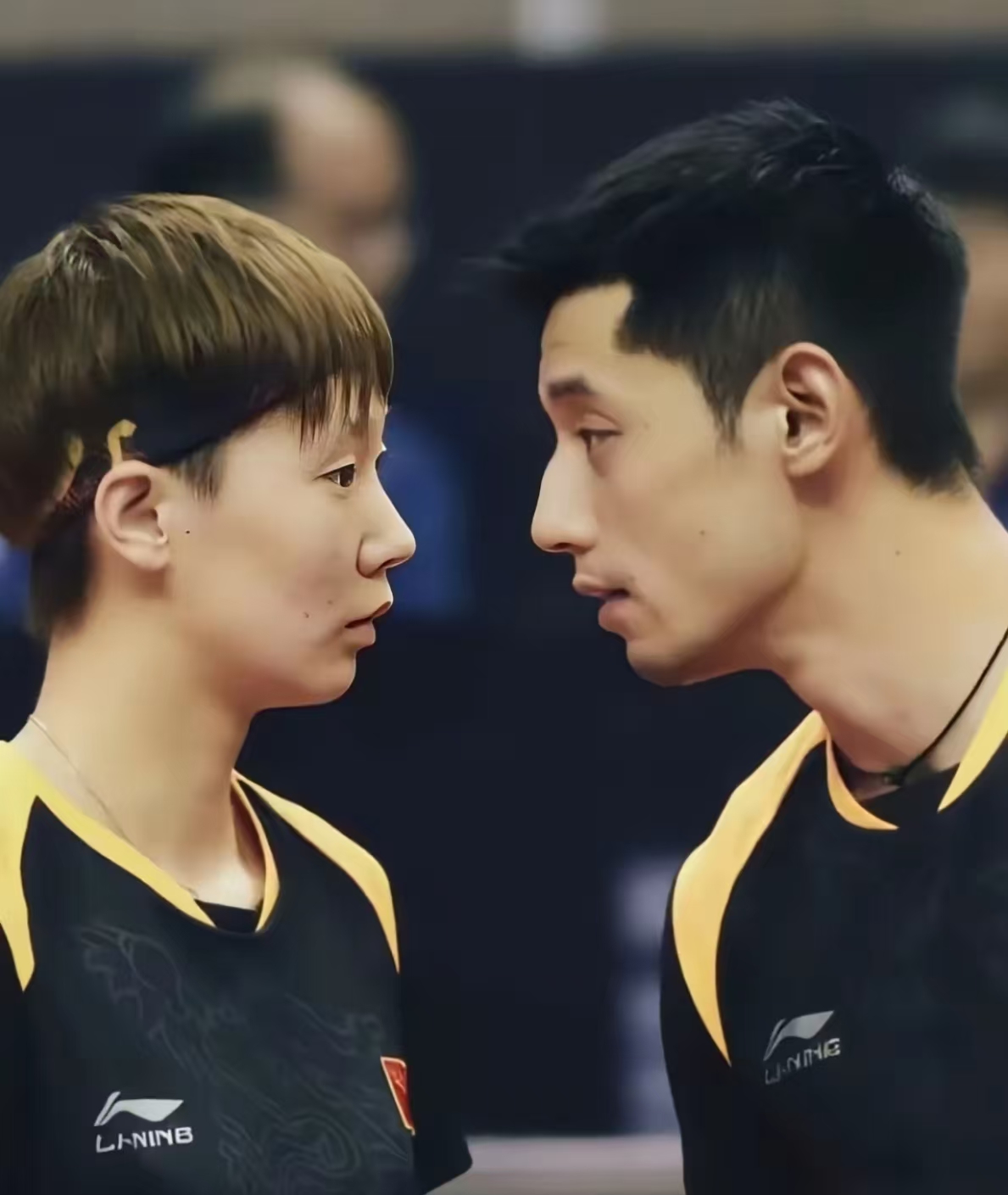 开云体育平台APP-欧米团队表现英勇，夺得多个冠军