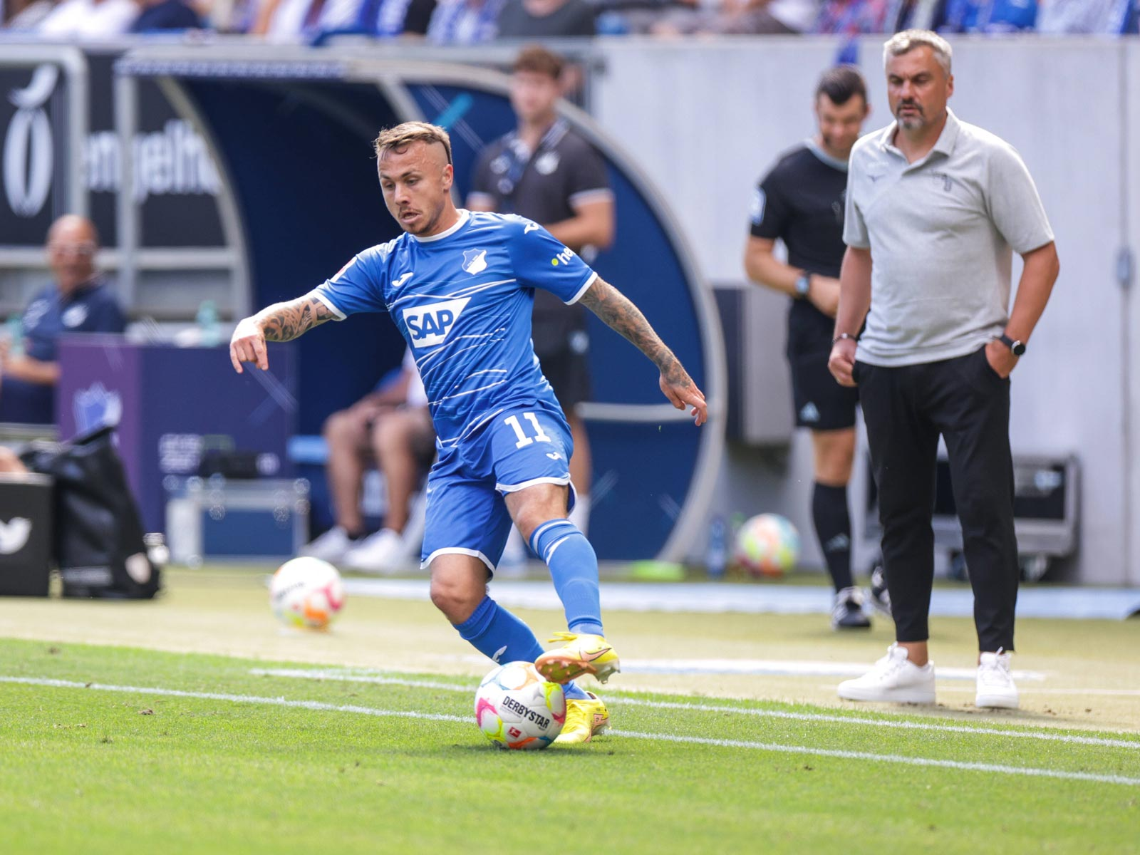 包含霍芬海姆客场不敌对手,遭遇逆转的词条 包含霍芬海姆客场不敌对手,遭遇逆转的词条