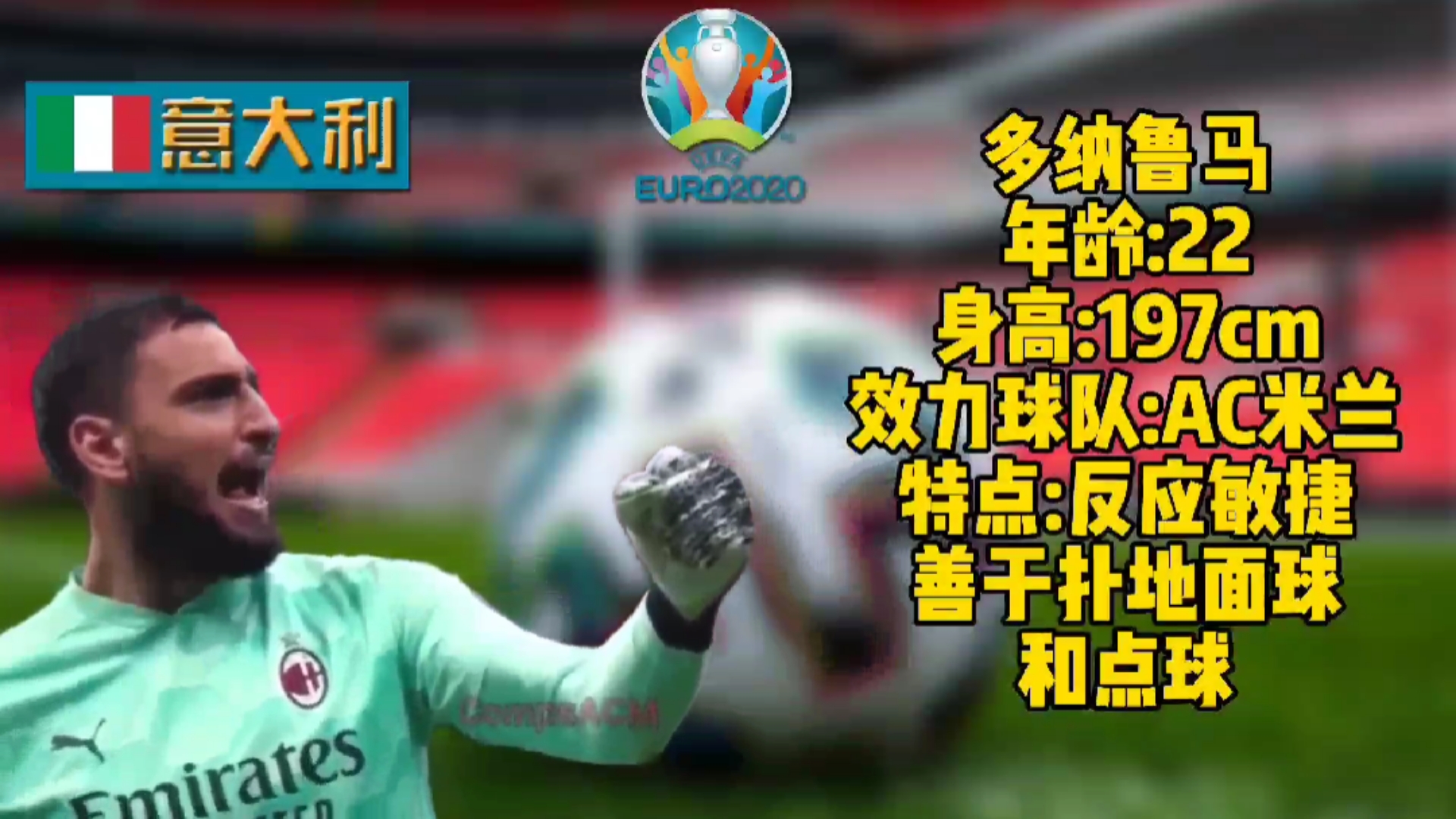 开云体育平台APP-意大利豪取胜利，欧锦赛资格巩固