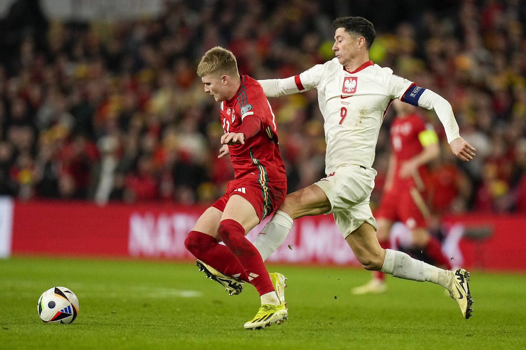 开云体育入口-包含比利时PK波兰，欧预赛半决赛精彩大战即将上演！的词条