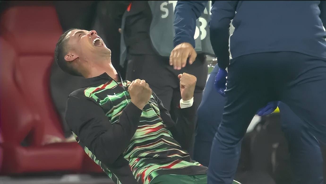 开云体育入口-葡萄牙队逆袭西班牙队，取得胜利