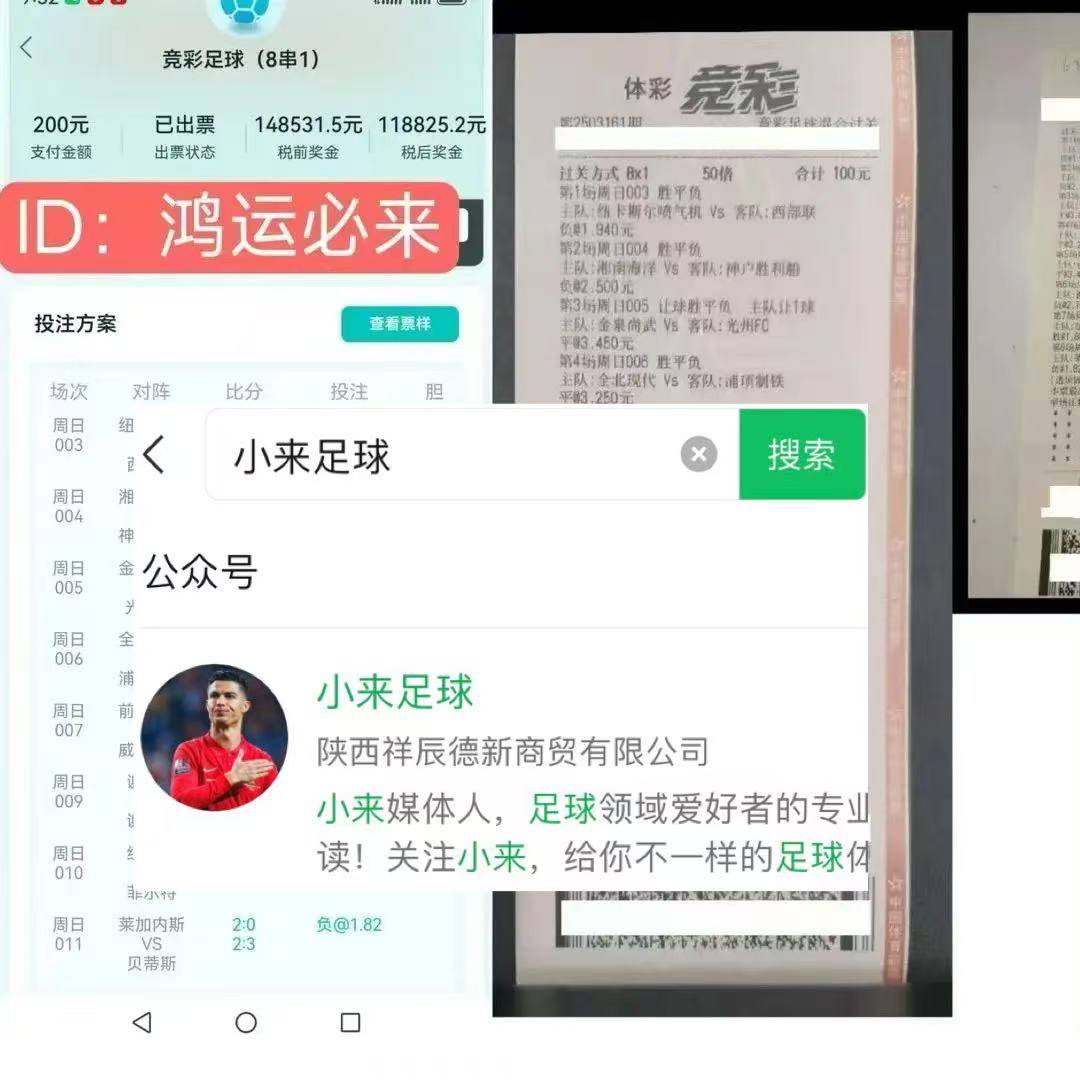 专家预测欧洲杯胜率超六成，结果成焦点的简单介绍